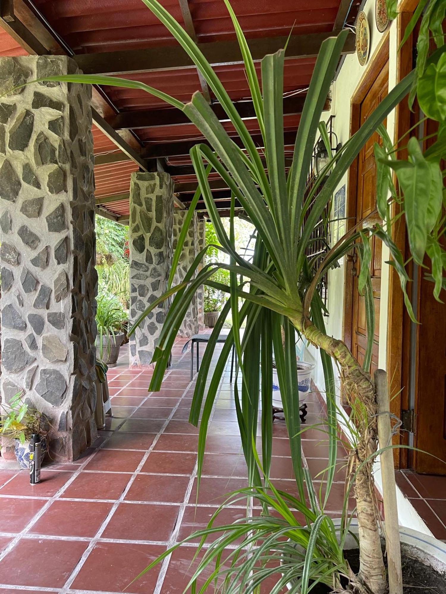 Kasi At Paradise San Carlos Exterior foto